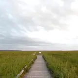 サロベツ原生花園
