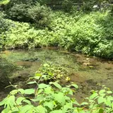 塩釜の冷泉