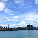 粉鳥林魚港