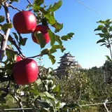 高島農園