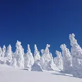 森吉山阿仁スキー場