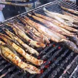鈴木鮮魚店