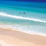 伊豆白浜観光協会