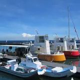 Discoverlamay探索拉美