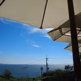 アルゴ
