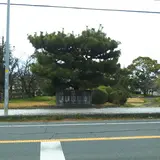 芝運動公園