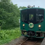 くしろ湿原ノロッコ号