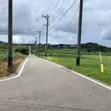 シュガーロード