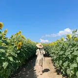 ひまわり村