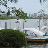 千波湖