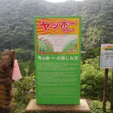 吊橋 椿山レイクブリッジ