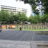 信義区信義広場狗活動区