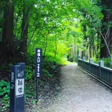 神道