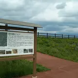 堀井城跡ふれあい公園