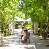 Golding Wines