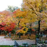 光明禅寺