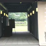 鞠智
