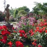 一本木公園