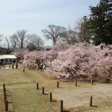 高梨館跡公園