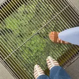 雲辺寺ロープウェイ
