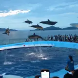 四国水族館