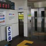 桔梗
