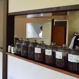 龍泉荘 奥の院 木もれ陽