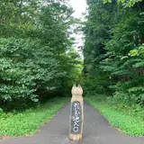 信州信濃町 癒しの森