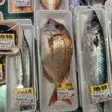 マルイ 上井店