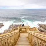 Fur Seal Lookout