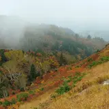 白山スーパー林道