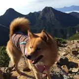 赤岩の頭