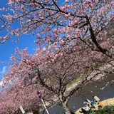 河津桜観光交流館