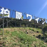 カタシモワイナリー
