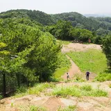 大平山