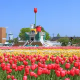 砺波チューリップ公園
