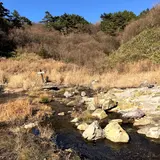 雀の地獄と奇岩石
