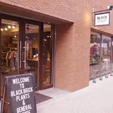 BLACK BRICK PLANTS&GENERAL STORE