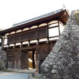 小諸城址懐古園展望台