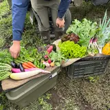 カラフル野菜 伝統野菜の繁昌農園