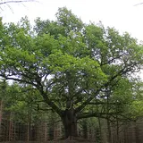 Pietiläntie 23