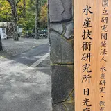 さかなと森の観察園