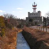 小川の周辺には