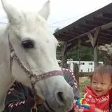 ララミー牧場