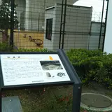 硲遺跡