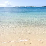ゴリラチョップ