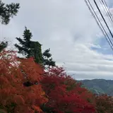 もみじ回廊