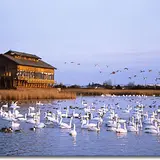 米子水鳥公園