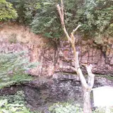 神戸層群