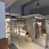 safn° （サフン）